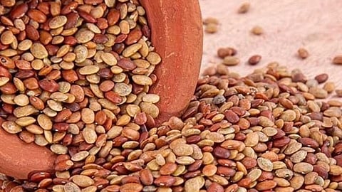 Horse Gram side effects