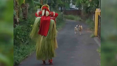 Stray dogs and Chamundi Theyyam