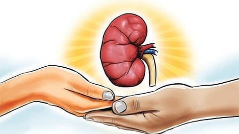 Kidney Transplantation