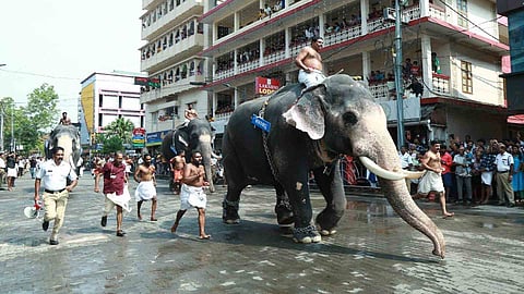 Elephant race Guruvayur