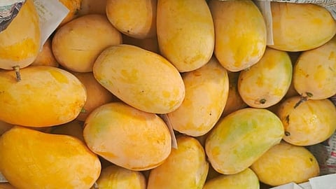 Mangoes