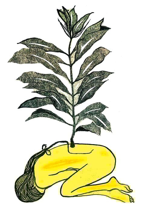 Illustration