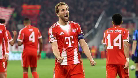 Harry Kane goal celebration