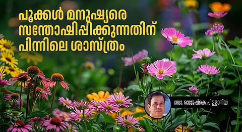 Colorful flowers representing happiness, positivity, and emotional well-being on World Happiness Day.