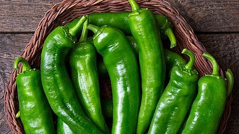 Green Chilli