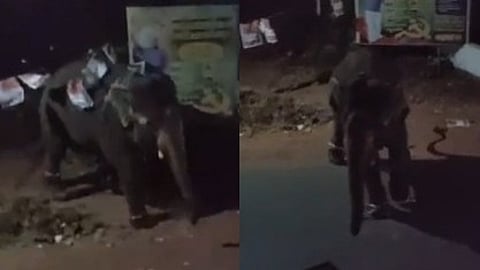 elephant runs away during Kannadiparambu festival