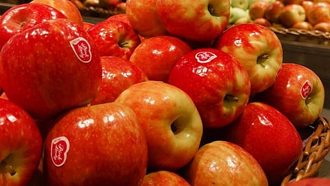 Apples in store, sticker