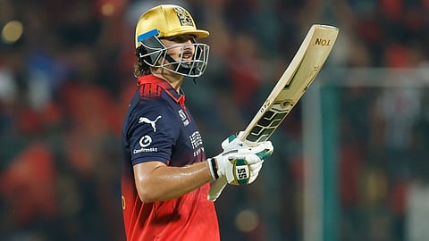 Tim David celebration