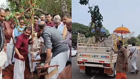 New banyan tree saplings planted at Naikkanal thrissur