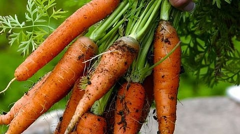 carrot health benefits, Body temperature