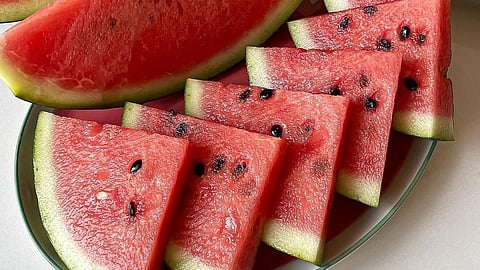 Watermelon fake