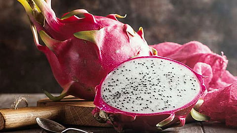 dragon fruit