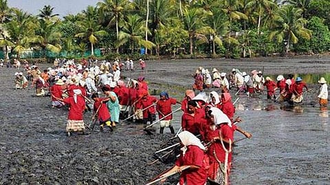 കേരളമുള്പ്പെടെ 20 സംസ്ഥാനങ്ങളിലെ തൊഴിലുറപ്പ് കൂലി നിലച്ചു