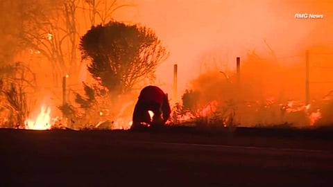 കാണാതെ പോകരുത് ഈ വീഡിയോ; ഇതാണ് മാതൃകാപരമായ മനുഷ്യത്വം