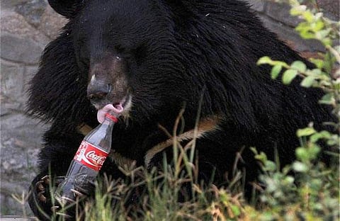 ബഹിഷ്കരണമെല്ലാം തമിഴ്നാട്ടില്, സംസ്ഥാനത്തെ വ്യാപാരികള് പെപ്സിയും കോളയും വില്ക്കും