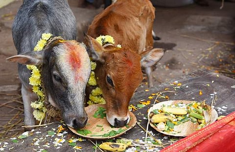 യുപിയില് ഇനി പശുവിനും നീതി കിട്ടും: അഖ്ലാഖ് കേസിലെ പ്രതികളുടെ ബന്ധുക്കള്