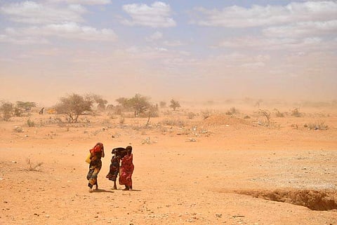 പട്ടിണി: സൊമാലിയയില് രണ്ടുദിവസം കൊണ്ട് മരിച്ചത് 110 പേര്