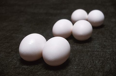 പ്ലാസ്റ്റിക് തിരിച്ചു നല്കൂ; മുട്ടയുമായി വീട്ടില് പോകാം...