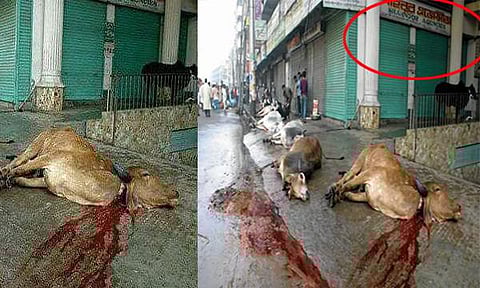 കന്നുകാലി കശാപ്പ്; തെറ്റിദ്ധരിപ്പിക്കുന്ന ഫേസ്ബുക് പോസ്റ്റുമായി കെ.സുരേന്ദ്രന്