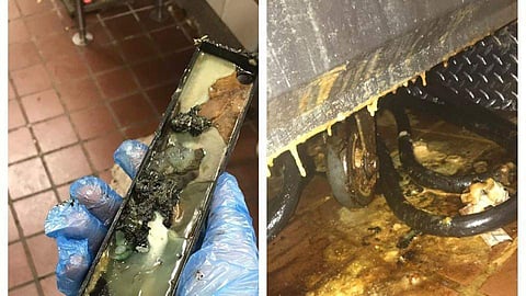 മെക്ക് ഡൊണാള്ഡ്സിലെ ജോലിക്കാരന് ട്വിറ്ററില് പങ്കുവെച്ച ഞെട്ടിപ്പിക്കുന്ന ചിത്രങ്ങള്