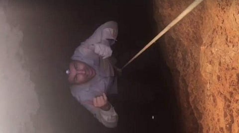 പട്ടിണി കിടന്ന് ജീവന് പോകുമെന്നായിരിക്കും പാമ്പുകള് കരുതിയിരിക്കുക; പക്ഷെ ഒരു രക്ഷകനെത്തി(വീഡിയോ)