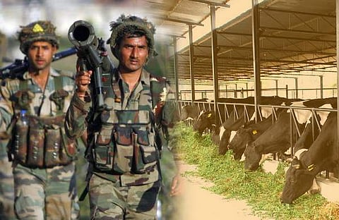 ജവാന്മാര് ഇനി മുന്തിയ പാല് കുടിക്കണ്ട; സൈന്യത്തിന് കീഴിലുള്ള പശുവളര്ത്തല് കേന്ദ്രങ്ങള് അടച്ചുപൂട്ടാന് കേന്ദ്രസര്ക്കാര്