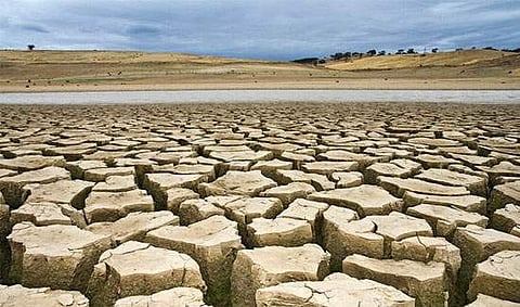 കാലവര്ഷം പകുതി പിന്നിട്ടിട്ടും ഒറ്റത്തുള്ളി മഴ ലഭിക്കാതെ അട്ടപ്പാടി