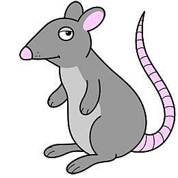 എലികള് കഞ്ചാവ് ഉപയോഗിക്കാന് തുടങ്ങിയെന്ന് ജാര്ഖണ്ഡ് പൊലീസ്: മുക്കിയത് 45 കിലോ കഞ്ചാവ്