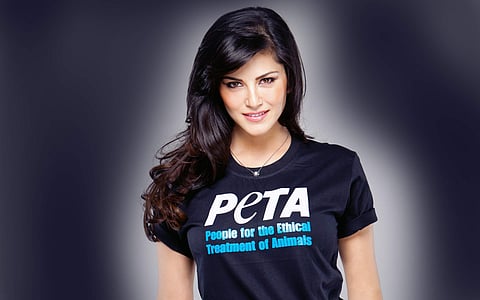 സണ്ണി ലിയോണ് 'ഹാങ്ങോവര്' തുടരുന്നു; മലയാളം ഐറ്റം സോങ്ങിന് ഹിറ്റോട് ഹിറ്റ്!