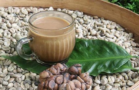 ഒരു കിലോ കാപ്പിപ്പൊടിക്ക് 25,000 രൂപ; ലോകത്തെ ഏറ്റവും വിലയേറിയ കാപ്പി ഇന്ത്യയിലും