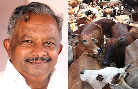 ആള്ക്കൂട്ട ആക്രമണം കാരണം ഗുജറാത്തില് നിന്ന് പശുക്കളെ കൊണ്ടുവരാന് വയ്യെന്ന് മന്ത്രി കെ.രാജു