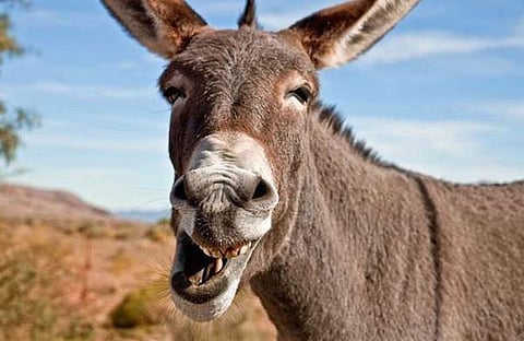 പ്രതീകാത്മക ചിത്രം