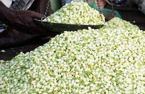 മുല്ലപ്പൂവിന് റെക്കോഡ് വില, കിലോയ്ക്ക് നാലായിരം രൂപയിലേറെ