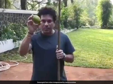 തോട്ടികൊണ്ട് നാരങ്ങയെ ബൗണ്ടറി കടത്തി സച്ചിന്; ക്രിക്കറ്റ് ദൈവത്തിന്റെ നാരങ്ങ പറിക്കല് വീഡിയോ വൈറല്