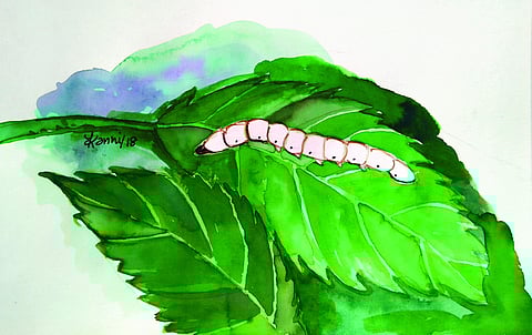 ചിത്രീകരണം - കന്നി എം