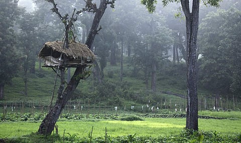 മാവോയിസ്റ്റിനെ കണ്ടെന്ന് വാര്ത്ത: കുരങ്ങനെ കൊല്ലാനെത്തിയ കര്ഷകനെ കണ്ട് പൊലീസ് സംഘം മടങ്ങി