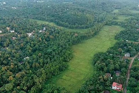 കീഴാറ്റൂര് ബൈപ്പാസ് വയലിലൂടെ തന്നെ ; അലൈന്മെന്റില് മാറ്റമില്ലെന്ന് കേന്ദ്രം ; ബിജെപി വാഗ്ദാനം പാഴായി