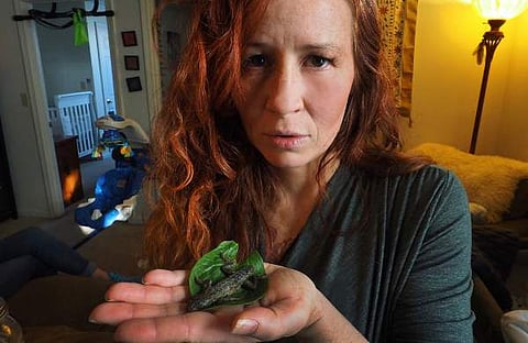 ഭക്ഷണം കഴിച്ചുകൊണ്ടിരിക്കുമ്പോള് ഫോര്ക്കില് കുരുങ്ങിയത് ഒരു ചത്ത പല്ലി