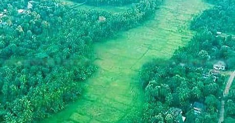 കീഴാറ്റൂരില് മേല്പ്പാതയ്ക്ക് അനുമതി തേടി സര്ക്കാര് ; മന്ത്രി ജി സുധാകരന് കേന്ദ്രത്തിന് കത്തയച്ചു