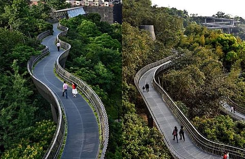 പ്രതീകാത്മക ചിത്രം