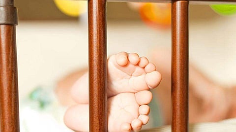 അമ്മക്കൊപ്പം ഉറങ്ങിക്കിടന്ന നവജാത ശിശുവിനെ കുരങ്ങന് എടുത്തുകൊണ്ട് പോയി