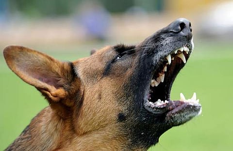 പ്രതീകാത്മക ചിത്രം