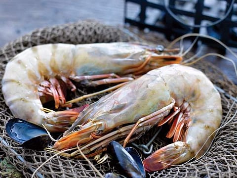 ആ പത്തില് പകുതിയും ചെമ്മീന് തന്നെ