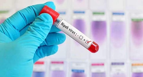 നിപ്പ വൈറസ്: ഗുളികകള് ഇന്ന് വിതരണം തുടങ്ങും; കരുതലോടെ സര്ക്കാര്