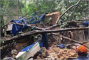 മരം വീണ് വീട് തകർന്നു; വൃദ്ധയും മൂന്ന് മക്കളും അത്ഭുതകരമായി രക്ഷപ്പെട്ടു