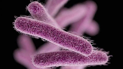 രണ്ടുവയസുകാരന് മരിച്ചത് ഷിഗെല്ല ബാക്ടീരിയ ബാധിച്ചല്ലെന്ന് സ്ഥിരികരണം