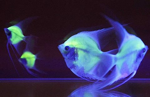 പ്രതീകാത്മക ചിത്രം