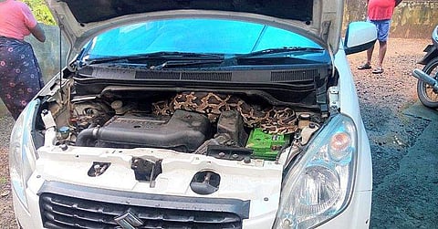 പ്രളയകാലത്ത് കാറില് അപ്രതീക്ഷിത അതിഥി ; നിര്ത്തിയിട്ടിരുന്ന കാറില് കയറിയത് വമ്പന് പെരുമ്പാമ്പ്