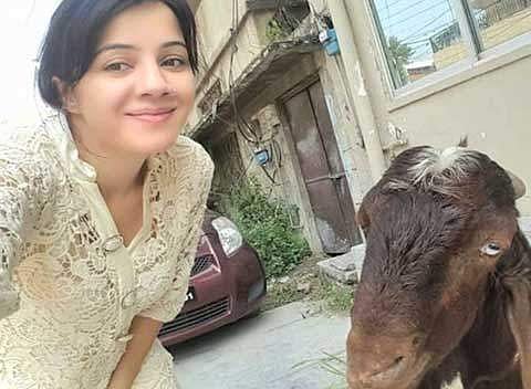 ആടുകളുടെ കൂടെ സെല്ഫി വേണ്ടെന്ന് യോഗി ആദിത്യനാഥ് ; ബലിപെരുന്നാള് ആഘോഷങ്ങള്ക്ക് യുപിയില് നിയന്ത്രണം