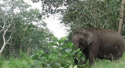 പ്രതീകാത്മക ചിത്രം